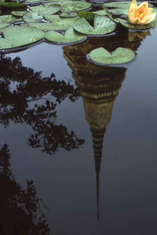 WT 124-21 Thailand Lotus Reflection.jpg